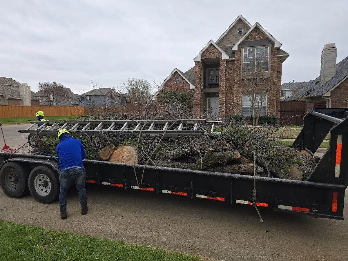 Expert Crown Reduction with proper safety equipment in Ottawa Lake
